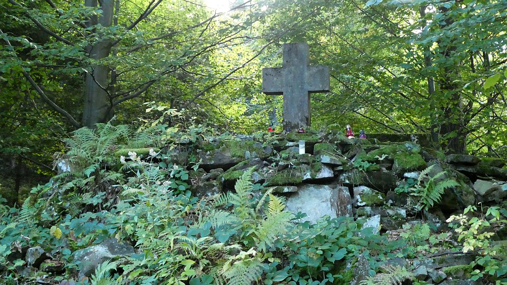 TZ90_P1010754.JPG