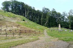 022_p20_IMG_20190618_183215