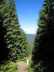 2658_Przelecz_Jalowiecka