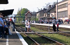 5547_Wolsztyn