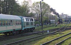 5584_Wolsztyn