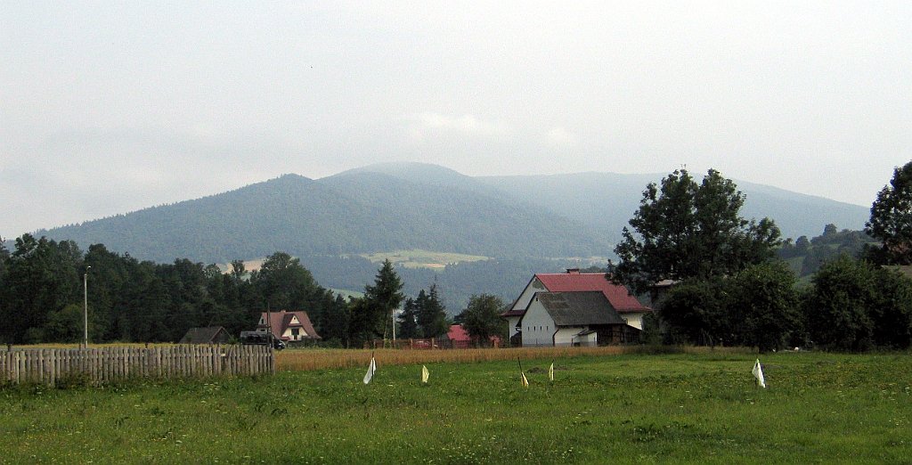 6362_widoczek.jpg