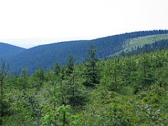 11993_Malinowska_Skala