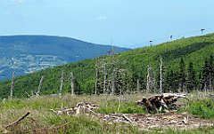 12012_Male_Skrzyczne