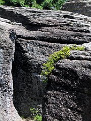 12029_Malinowska_Skala