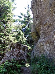 12033_Malinowska_Skala