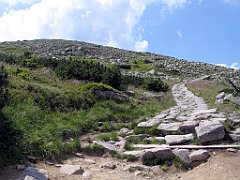 12649_Wielki_Szyszak