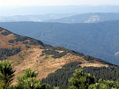 15222_Przelecz_Brona