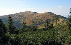 15236_Mala_Babia_Gora