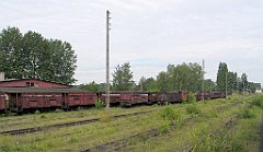 IMG_29075_cr