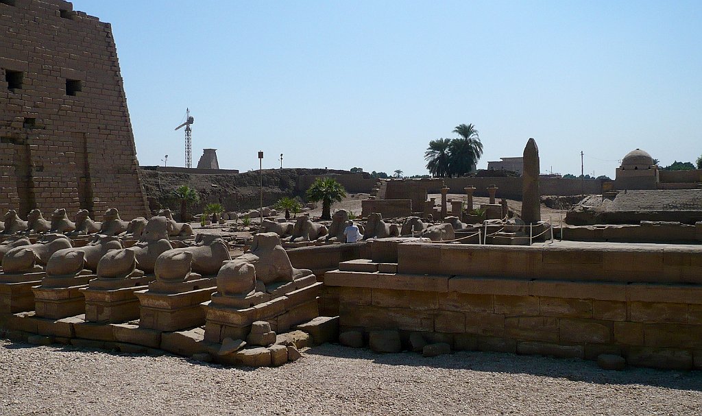 P1040269_cr.jpg
