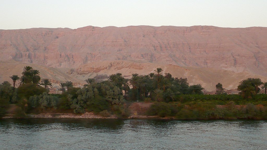 P1040371_cr.jpg
