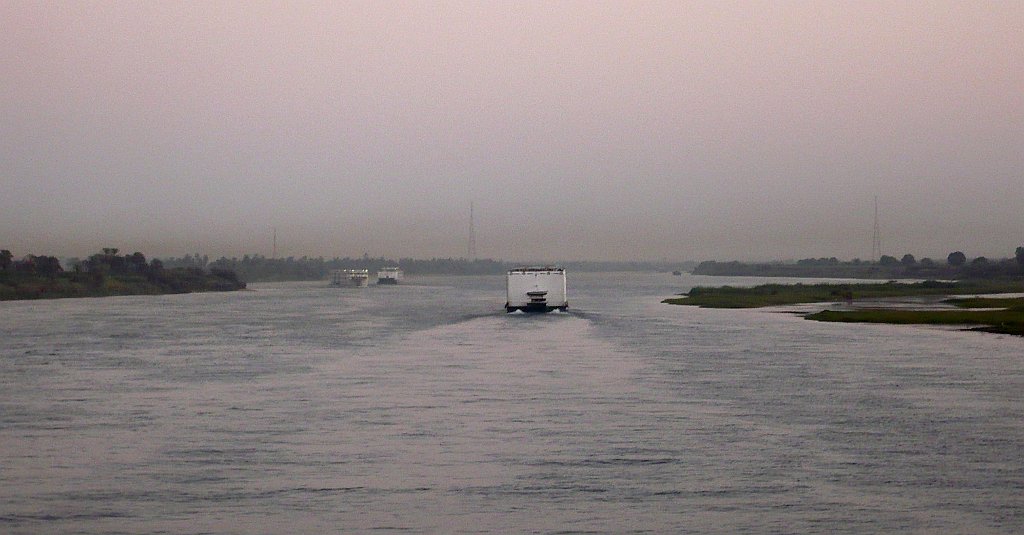 P1040385_cr.jpg
