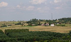 IMG_x7953_cr