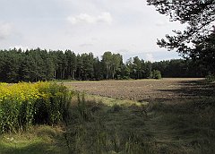 2009_08_31_Ogorzelnik_Rzedkowice