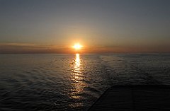 IMG_x13669_cr