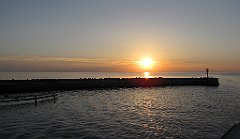 IMG_x13677_cr