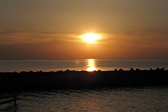 IMG_x13679_cr