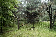 IMG_x17567_X44_P07290002_cr