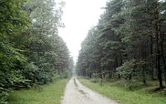 IMG_x17567_X44_P07290005_cr