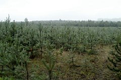 IMG_x17567_X44_P07290007_cr