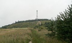 IMG_x17567_X44_P07290012_cr