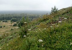 IMG_x17567_X44_P07290016_cr