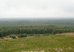 IMG_x17567_X44_P07290023_cr