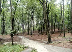 IMG_x17567_X44_P07290033_cr