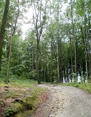 IMG_x17567_X44_P07290034_cr