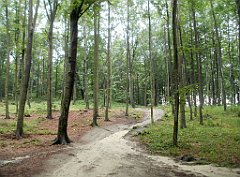 IMG_x17567_X44_P07290037_cr