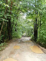 IMG_x17567_X44_P07290044_cr