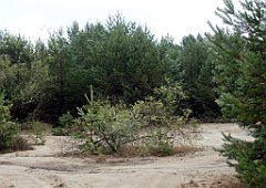 IMG_x17567_X44_P07290053_cr