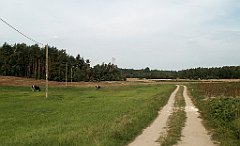 IMG_x17690_X44_P08060052_cr