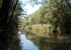 IMG_x18064_X44_P09010484_cr