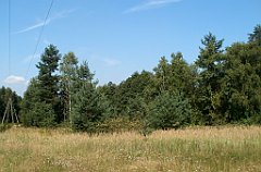 IMG_x18064_X44_P09010494_cr