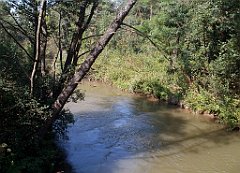 IMG_x18064_X44_P09010500_cr