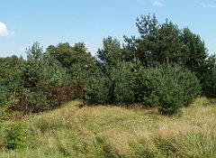 IMG_x18064_X44_P09010526_cr