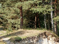 IMG_x18064_X44_P09010537_cr