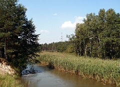 IMG_x18064_X44_P09010539_cr