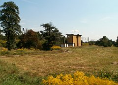 IMG_x18064_X44_P09010563_cr