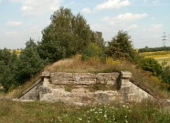 IMG_x18064_X44_P09010574_cr