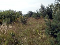 IMG_x18064_X44_P09010575_cr