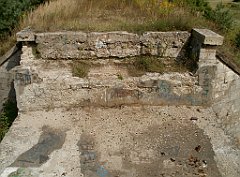 IMG_x18064_X44_P09010578_cr