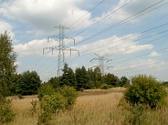 IMG_x18064_X44_P09010584_cr