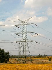 IMG_x18064_X44_P09010599_cr