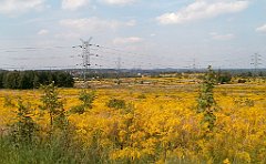 IMG_x18064_X44_P09010601_cr