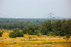 IMG_x18064_X44_P09010608_cr