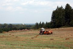 IMG_x18064_X44_P09010618_cr