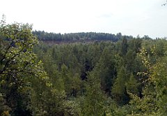 IMG_x18064_X44_P09010619_cr